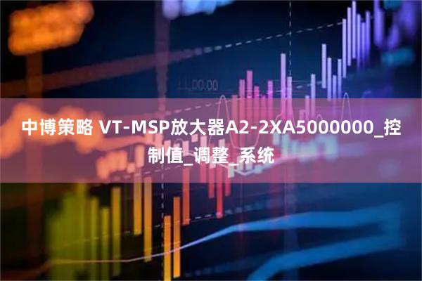 中博策略 VT-MSP放大器A2-2XA5000000_控制值_调整_系统