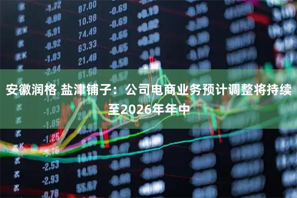 安徽润格 盐津铺子：公司电商业务预计调整将持续至2026年年中